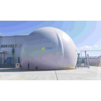 大白球雙膜儲(chǔ)氣柜WD68